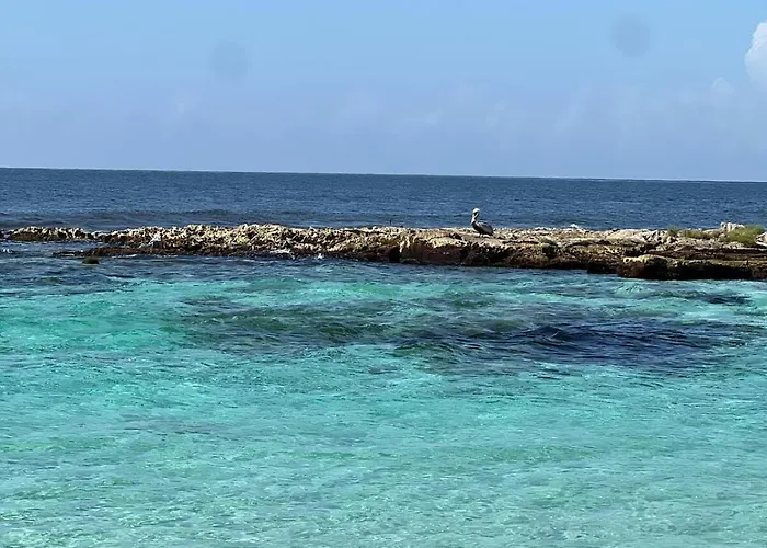 Beachfront In *